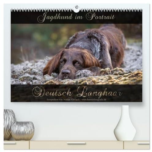 Jagdhund im Portrait - Deutsch Langhaar (hochwertiger Premium Wandkalender 2026 DIN A2 quer), Kunstdruck in Hochglanz: Wundervolle Portraits vom ... Vorstehhund über das Jahr. (CALVENDO Tiere)