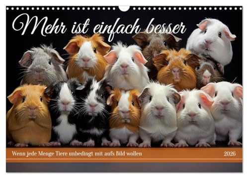 Mehr ist einfach besser (Wandkalender 2026 DIN A3 quer), CALVENDO Monatskalender: Von geliebten Tieren kann man nicht genug haben (CALVENDO Tiere)