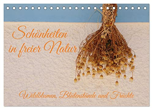Schönheiten in freier Natur (Tischkalender 2026 DIN A5 quer), CALVENDO Monatskalender: Wildkräuter mit ihren Blüten und Fruchtständen (CALVENDO Natur)