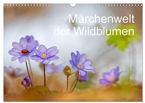 Märchenwelt der Wildblumen (Wandkalender 2026 DIN A3 quer), CALVENDO Monatskalender: Heimische Wildblumen überraschen oft durch ihre apartes Aussehen ... Weise präsentiert. (CALVENDO Natur)