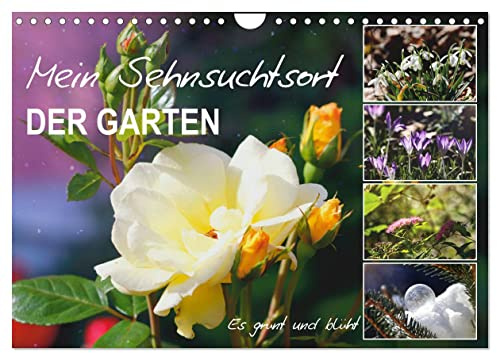Mein Sehnsuchtsort, der Garten (Wandkalender 2026 DIN A4 quer), CALVENDO Monatskalender: Zauberhafte Naturfotografie im Garten (CALVENDO Natur)