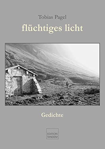 flüchtiges licht: Gedichte