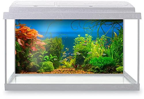 DV DESIGN Aquarium Fish Tank Background 80x40 cm - Underwater Jungle Tropical Fresh Water Dense Red Green Plants Different Fishes Static Cling Vinyl Vivarium Terrarium External Application #500006