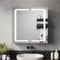 ELEGANT LED Wall Mounted Bathroom Mirror with 2-Door Cabinet, 3 Colors, Dimmable, Shaver Socket, Demister Pad, Touch Sensor, Aluminum, 650x650mm