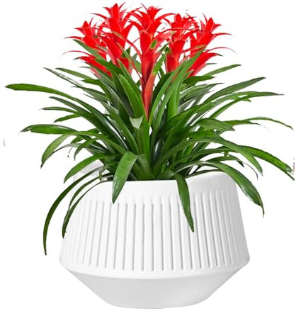 Afrikanische Veilchen-Töpfe, zweilagig, atmungsaktiv, Orchideen-Pflanzgefäß, 15,7 x 13 x 11 cm, Wurzelkontrolle, Übertopf für Phalaenopsis, afrikanische Veilchen und lebende Pflanzen, perfekt für