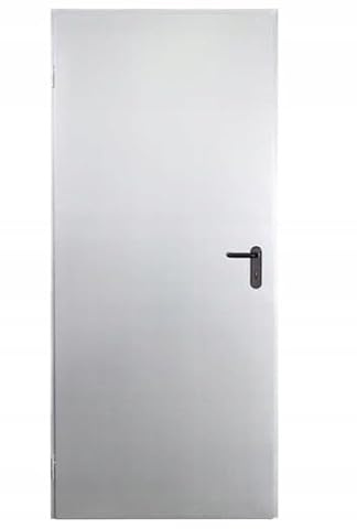 Porta in acciaio, 80 x 200 cm, DIN sinistra, set completo con telaio e maniglia, porta multiuso zincata, per garage e spazio economico, robusta porta esterna in acciaio, resistente alle intemperie e