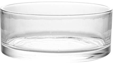 Uonlytech Vase Décoratif en Verre Transparent 20x20x8 Cm pour Plantes Hydroponiques, Jardinière Multifonctionnelle pour Fleurs et Aquarium, Grand Pot en Verre pour Décoration Intérieure