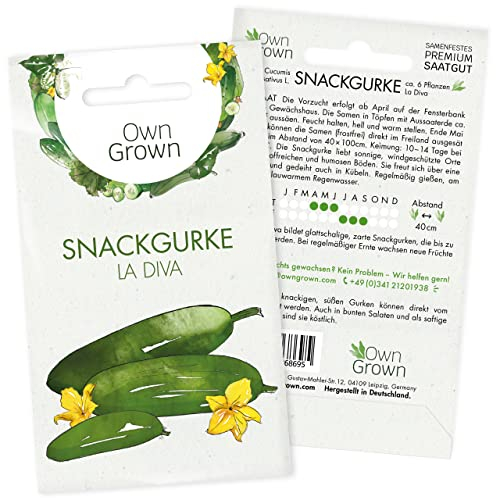OwnGrown Gurkensamen Snack - 5 Samen der Snack Gurkensorte La Diva - Gemüsesamen für Gurkenpflanzen