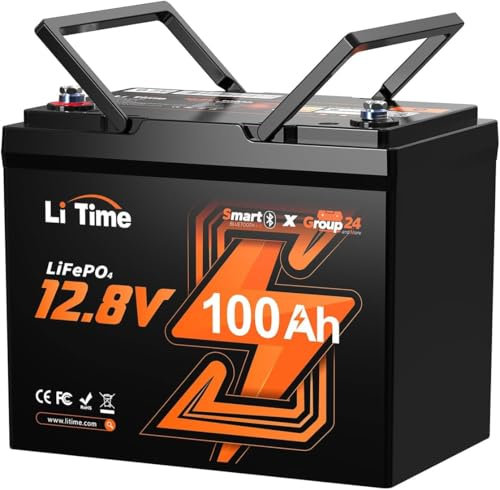 LiTime 12V 100Ah BCI Group 24 Bluetooth LiFePO4 Batterie, Lithium Batterie mit 100A BMS und Low-Temp-Schutz, Max.15000 Zyklen, 1280Wh, Perfekt für Wohnmobile, Van, Trailer, Solaranlage und Boote