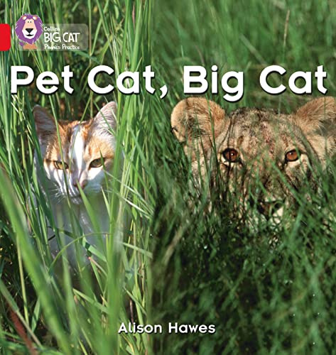 Pet Cat, Big Cat: Red / Band 2A (Collins Big Cat)