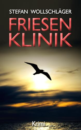Friesenklinik: Ostfriesen-Krimi (Diederike Dirks ermittelt, Band 2)