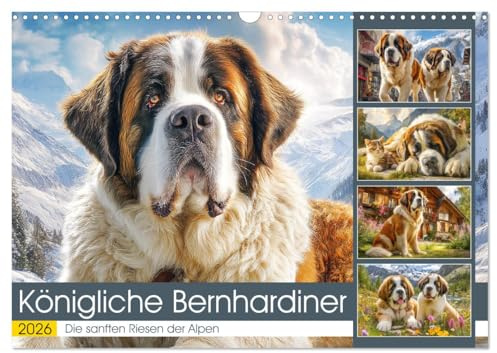 Königliche Bernhardiner. Die sanften Riesen der Alpen (Wandkalender 2026 DIN A3 quer), CALVENDO Monatskalender: Eine stimmungsvolle Begegnung mit Hunden die das Herz berühren (CALVENDO Tiere)