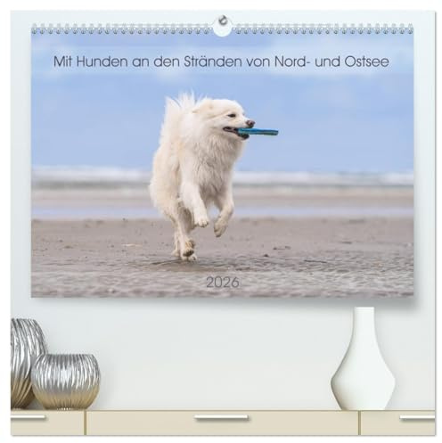 Mit Hunden an den Stränden von Nord- und Ostsee (hochwertiger Premium Wandkalender 2026 DIN A2 quer), Kunstdruck in Hochglanz: Hunde aller Altersklassen genießen das Strandleben. (CALVENDO Tiere)