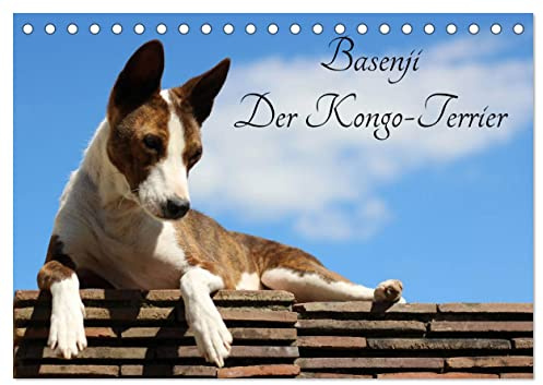 Basenji, der Kongo-Terrier (Tischkalender 2026 DIN A5 quer), CALVENDO Monatskalender: Der Basenji ist eine aus Zentralafrika stammende Hunderasse (CALVENDO Tiere)