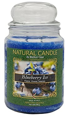 Nature Candle 167369 Duftkerze Blueberry, 100% Vegetal Wachs, 580 g, gemischt, 1S