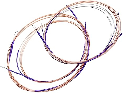 VICASKY 4 Stück Saiten Pipa-saiten Teile Für Oud-instrument Laute Instrument Hals Türkisches Baglama Musikinstrument Go-teile Pfeife Zubehör Für Chinesische Laute Anmut Saz Stahlsaite