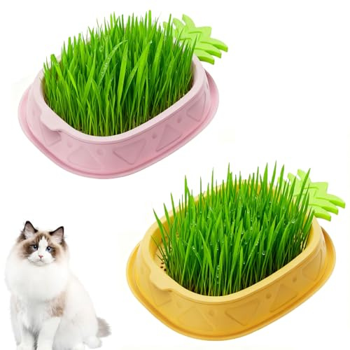 2 Stück Katzengras Pflanzgefäß, Pflanzschalen für Katzengras, Katzengras Schale Tablett, Katzengras Keimschale Anzuchtschalen, für Zimmerkatzen zum Pflanzen Katzengras (Gelbe Ananas, Pink Ananas)
