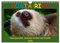 Costa Rica - Naturparadies zwischen Karibik und Pazifik (Wandkalender 2025 DIN A4 quer), CALVENDO Monatskalender: Schöne Tieraufnahmen aus Costa Rica und seinen Nationalparks (CALVENDO Tiere)