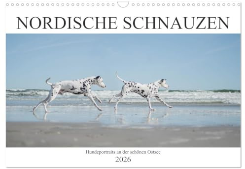 Nordische Schnauzen (Wandkalender 2026 DIN A3 quer), CALVENDO Monatskalender: Hundeportraits fotografiert an der schönen Ostsee (CALVENDO Tiere)