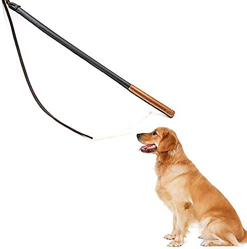 BOLLAER Bastone da addestramento per cani, frusta per cani, giocattolo per addestramento animali domestici, per cani adulti, tutte le razze, uso esterno
