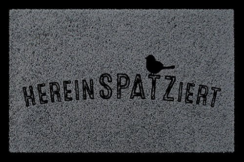 Interluxe TÜRMATTE Fußmatte HEREINSPAZIERT Vogel Willkommen Flur Eingang Einzug Geschenk Dunkelgrau