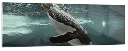 ARTTOR Bilder auf Glas 160x50cm Wandbild Glasdruck Tiere - 4189