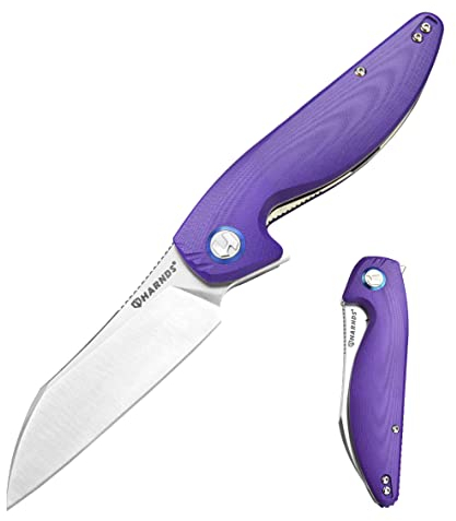 HARNDS Parrot Premium Coltello pieghevole con lama Sandvik 14C28N da 3,58 e manico in G10 con clip, chiusura con liner per l'EDC e il campeggio all'aperto. (Viola)