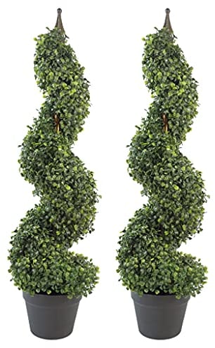 Leaf Design UK Buxus - Alberi a spirale in legno di bosso, 90 cm, Buxus