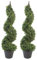 Leaf Design UK Buxus Buchsbaum-Spiralbäume