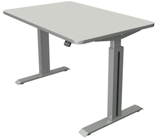 Froschkönig24 Move 1 Style Schreibtisch Motortisch Bürotisch Arbeitstisch, elektrisch höhenverstellbar, Lichtgrau/Silber, Größe Tischplatte:120 x 80 cm