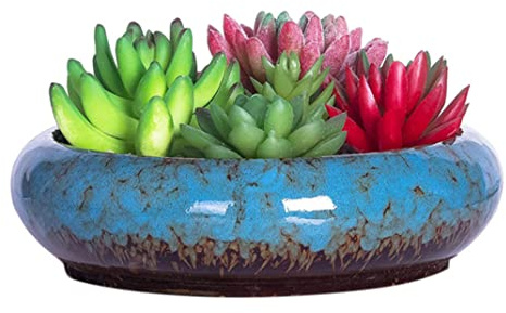 Pots de fleurs, pot de plante succulente grande pot de bonsaï avec trou de drainage cactus en céramique cactus plante pour extérieur intérieur