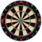 FOCO Offiziell lizenzierte Liverpool FC Dartscheibe