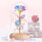 BOLEi Galaxie Rose für Mama, Rose im Glas mit LED Licht für Frauen, Oma, Freundin, Überraschungsrose für Frau, Rosen Dekoration für Bücherregale, Nachttische(Galaxy Roses Bunter Schmetterling)