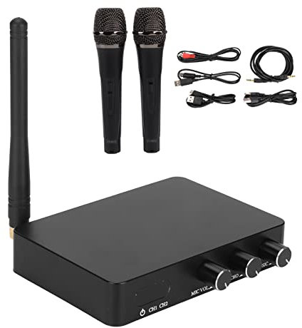 Rankomu Sistema microfonico senza fili, professionale FM VHF, set di microfoni dinamici senza fili, per karaoke, riunioni, feste, DJ, matrimoni, include microfono portatile