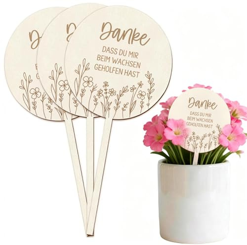 8 Stück Holz Blumenstecker Danke dass du mir beim wachsen geholfen hast 10 x 20 cm, Abschiedsgeschenk Erzieherin Lehrer Kindergarten, Erzieherin Geschenk, Geschenk Lehrerin aus Holz