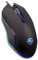 ENHANCE RGB Maus Gaming, Mehrfarbige LED Gaming Maus, 4 DPI Stufen und Geflochtenes Nylonkabel, 6 Programmierbare Tasten, Feuer Tasten Optischer Sensor Wired Gaming Maus für Pro Gamer - Schwarz
