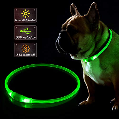 KABB Collier de Chien à LED, Bande de clignotage Rechargeable USB pour la sécurité la Nuit, réglable, imperméable, Collier Lumineux Lumineux pour Chiens - Une Taille d'une Taille Allen, Verte