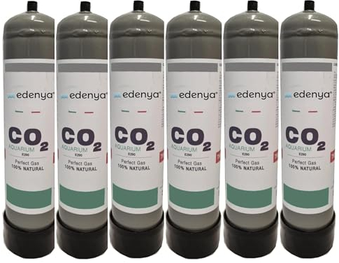 TermoidraulicaRV® 6 Bouteilles CO2 jetables 600 g pour aquariums avec raccord M10 x 1