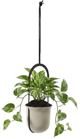LAMELA Kunststoff Blumenampel höhenverstellbar, Ø 18 cm, 2,3 L - Beige | Schnur individuell anpassbar für Wand- und Deckenmontage, UV- und wetterbeständig, bringt Pflanzen schön in Szene