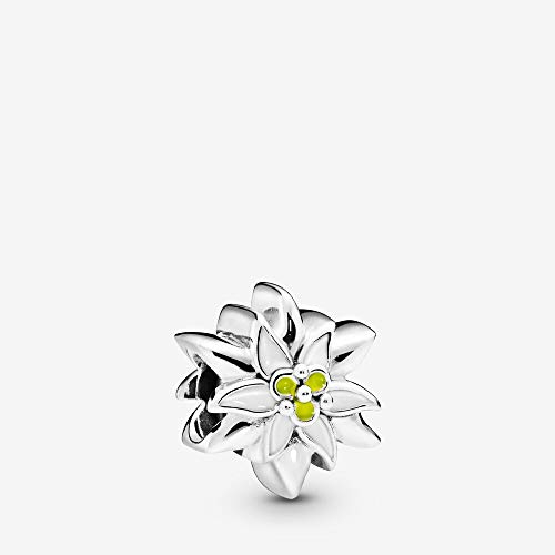 PANDORA Reflexions Edelweiss Blume 798243ENMX