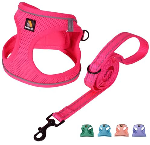BELLA & PAL Hundegeschirr Kleine Hunde mit Leine, Step-in Geschirr aus Air Mesh, Anti Zug Reflektierend Atmungsaktiv Brustgeschirr, Welpengeschirr für Kleine Hunde, Katzengeschirr, Heißes Rosa, M