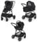 Foppapedretti Trio Divo I-Size, Sistema Modulare Combinato per Bambini, Navicella Passeggino e Seggiolino auto I-Size, Chiusura Self Standing, conforme ECE R129, Maneggevole Compatto Leggero, Glamour