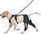 Furtent Hunde-Kniebandage für gerissenes ACL-Hinterbein, hält Gelenke warm und stabil, verbesserte verstellbare Beinstütze (M, klassische Kniebandage)