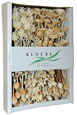 Trockenexoten aus Südafrika – 1 Karton - Dekoration Gedenkfloristik – Blumengestecke/Trauerkränze/Grabgestecke/Sargschmuck/Grabfloristik/Allerheiligen (Protea - Sortiment Gebleicht - 100 Stück)