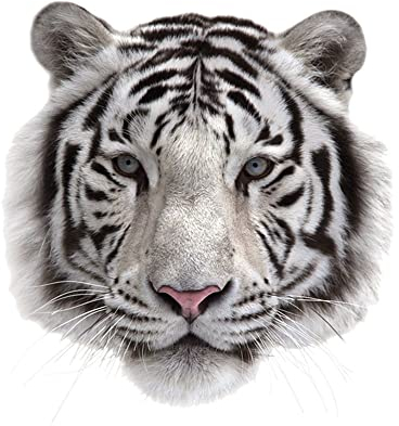 GIVBRO Tiger Bügelbilder Applikationen Aufkleber Wärmeübertragung Patches Bügelflicken für T-Shirt DIY Zubehör, S