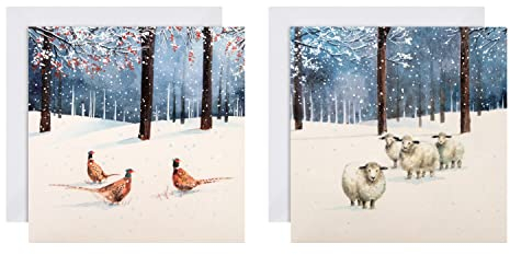 Hallmark Weihnachtskarten für Wohltätigkeitsorganisationen, Boxkarten, traditionelle Winter-Szenen-Designs, 16 Stück