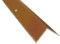 Dalsys Treppenkantenprofil Aluminium 100cm x 30mm x 30mm Bodenprofil für Treppenwinkel zum Schrauben Gold