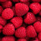 Haloppe 20 Unids Semillas de Frutas de Frambuesa Roja para la Plantación de Jardín en el Hogar, Semillas de Frambuesa Roja Jardín Bonsai Deliciosa Planta de Fruta Nutritiva Jugosa Semillas de fram