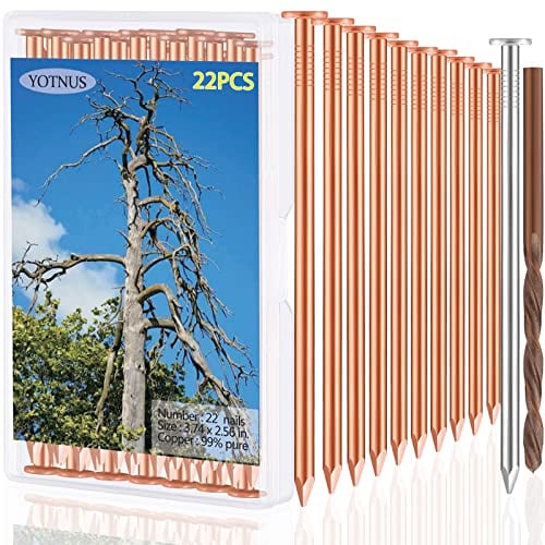 YOTNUS 20 Pcs Copper Nails for Killing Trees, Stumps & Roots - 3.5 Inch Long Come with Steel Nails Drill Nails Enabling the Copper Nails to Drive Into the Stump Without Bending (3.5 Inch, 20 Pcs)