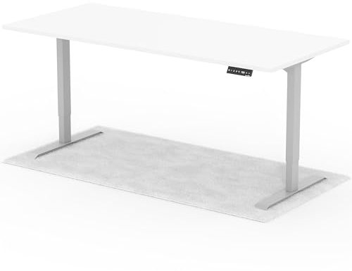 Standable Desk Höhenverstellbarer Schreibtisch 200 x 90 cm I elektrischer Office Table mit 4 Speicherstufen I Schreibtisch höheneinstellbar 70-120 cm I ergonomischer Büro-Tisch